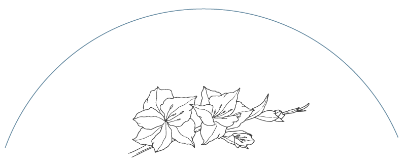 stherapy_flower